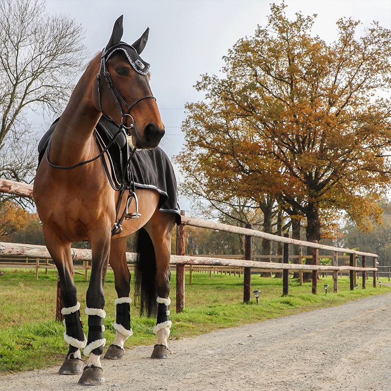Kentucky Horsewear - Guêtre cheval Turnout Air mouton synthétique noir | - Ohlala