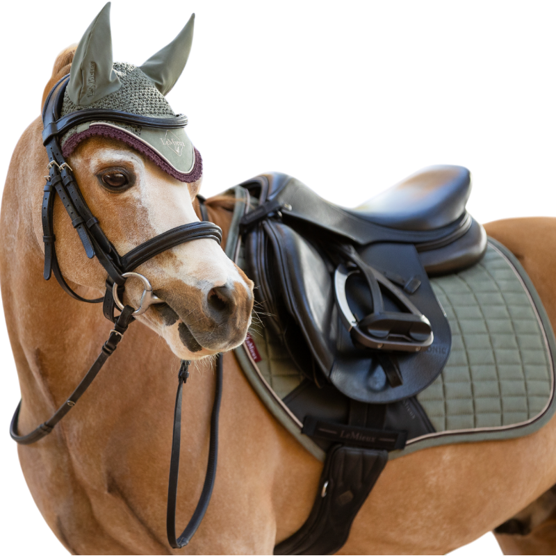 LeMieux - Bonnet pour chevaux Classic Mini rosemary