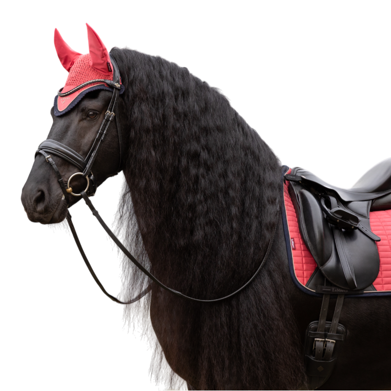 LeMieux - Bonnet pour chevaux Classic cranberry