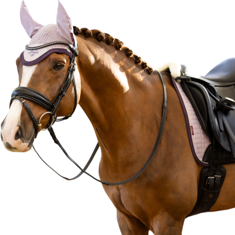 LeMieux - Bonnet pour chevaux Classic lilac