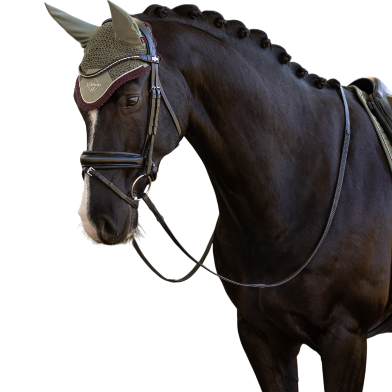LeMieux - Bonnet pour chevaux Classic rosemary