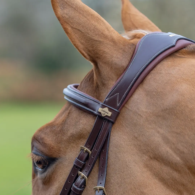 Lemieux - Bridon Kudos Grackle muserolle croisée havane | - Ohlala