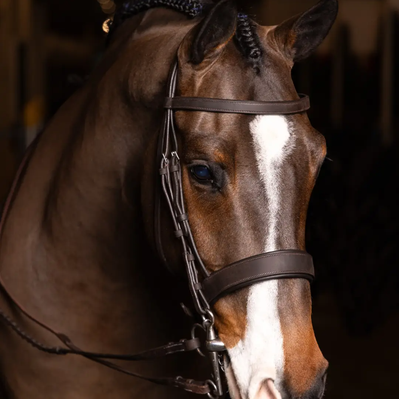 Lemieux - Bridon avec rênes Hunter havane/ argent | - Ohlala