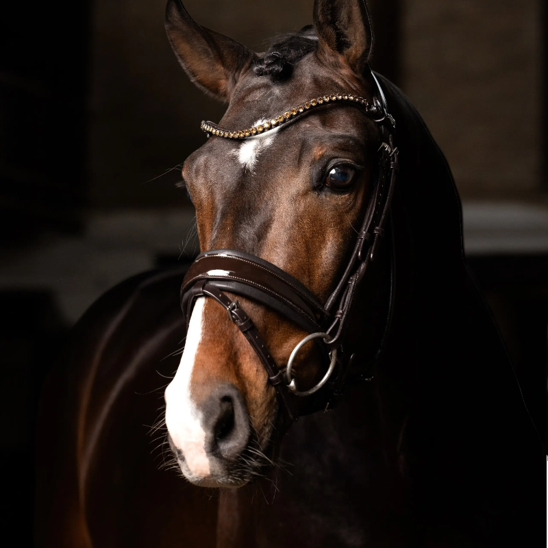 Lemieux - Bridon de dressage Kudos Patent marron | - Ohlala
