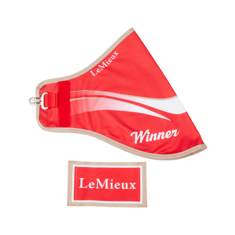 Lemieux - Couverture de vainqueur pour Hobby Horse rouge