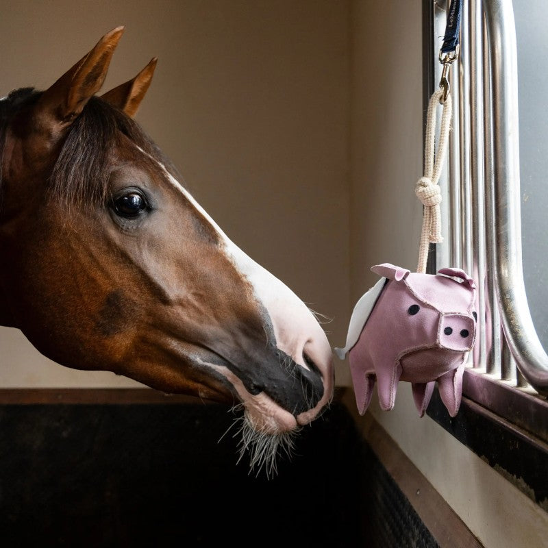 Lemieux - Jouet pour chevaux Flying Pig | - Ohlala