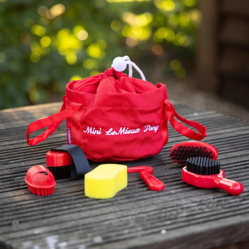 Lemieux - Kit de pansage pour toy pony Chilli