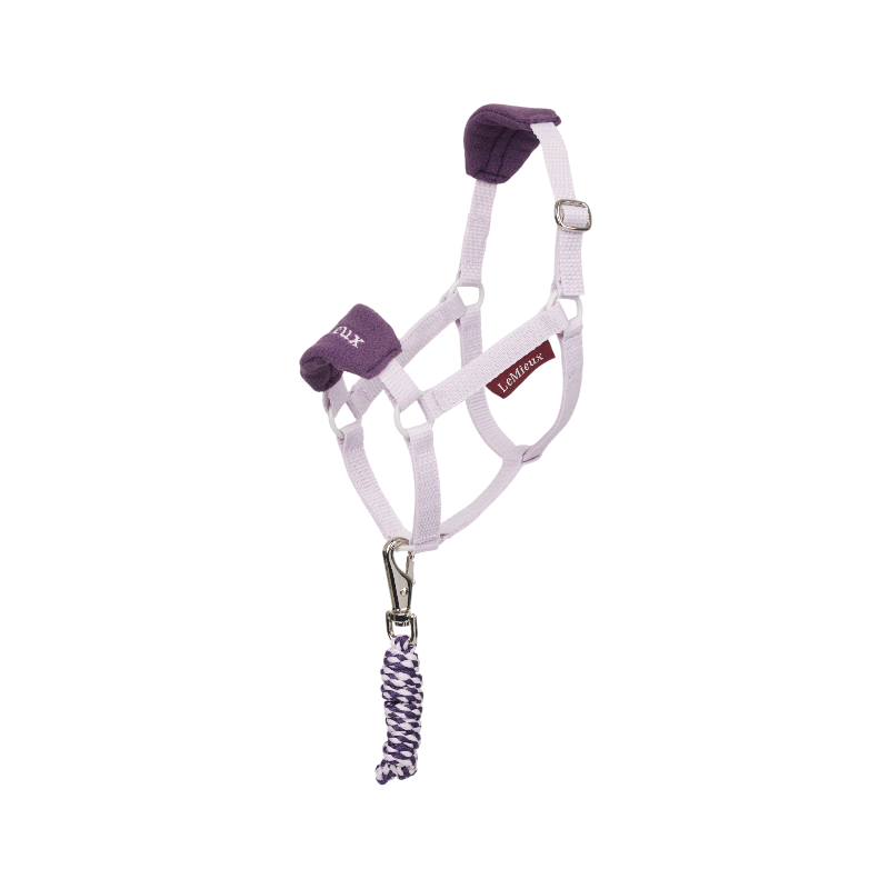 Lemieux - Longe et licol Vogue pour Hobby Horse lilac