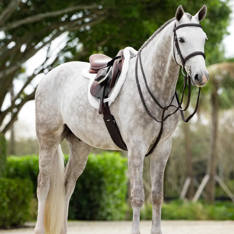Lemieux - Tapis de Hunter Merino + ProSorb blanc | - Ohlala