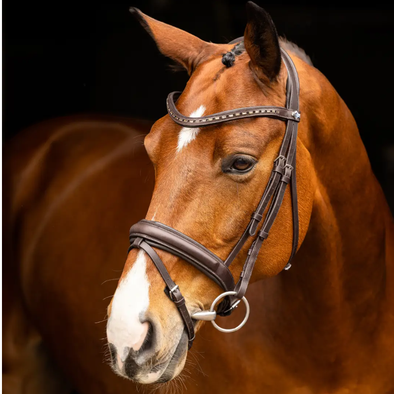 Lemieux - Bridon de dressage Arika marron/ argent | - Ohlala