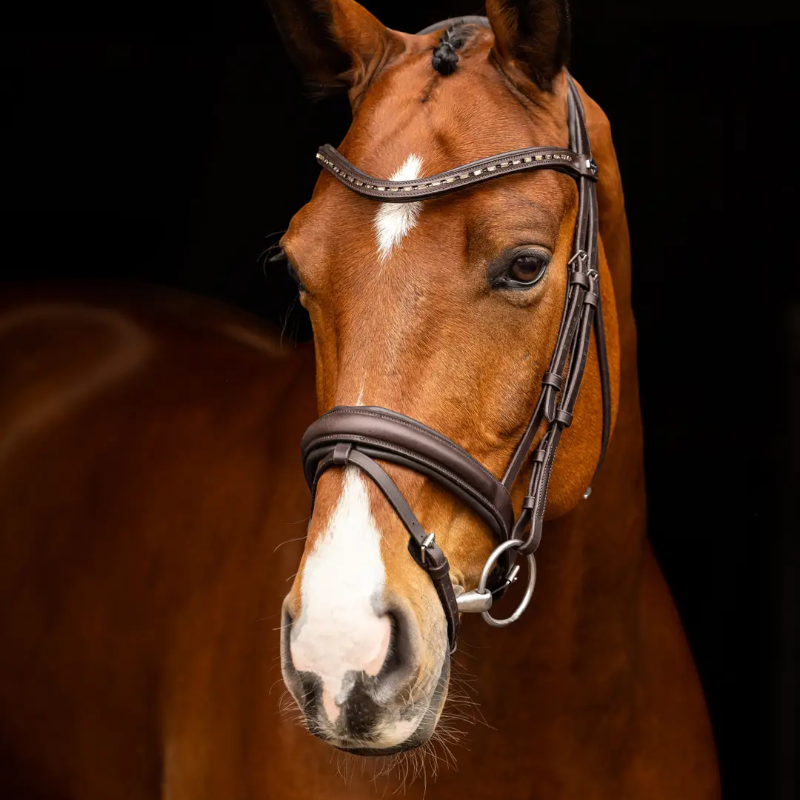 Lemieux - Bridon de dressage Arika marron/ argent | - Ohlala