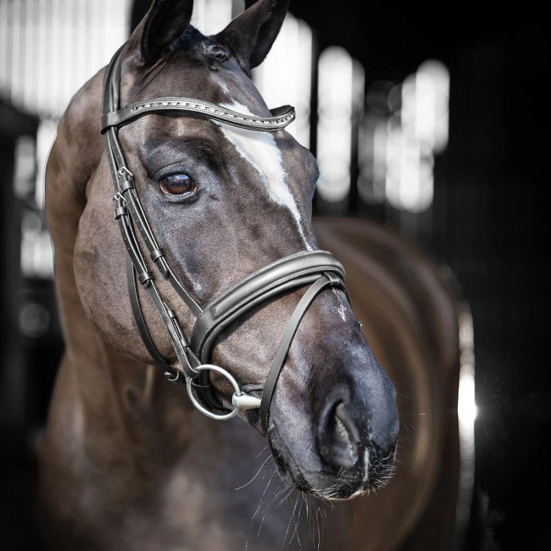 Lemieux - Bridon de dressage Arika noir/ argent