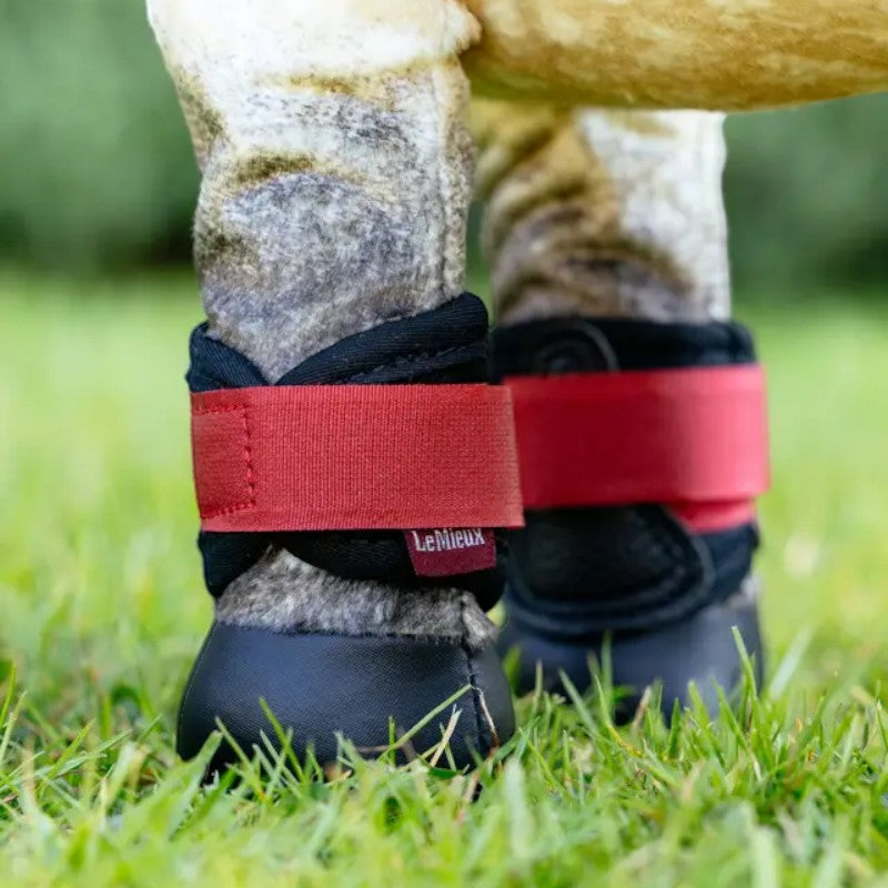 Lemieux - Guêtres pour Toy Pony Grafter chili