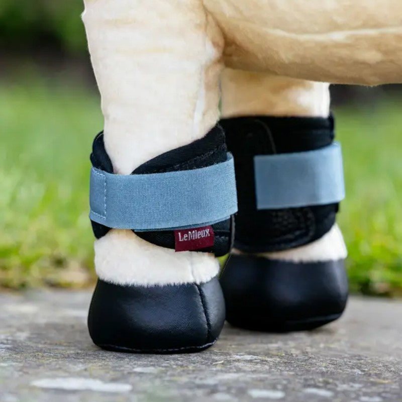 Lemieux - Guêtres pour Toy Pony Grafter ice blue
