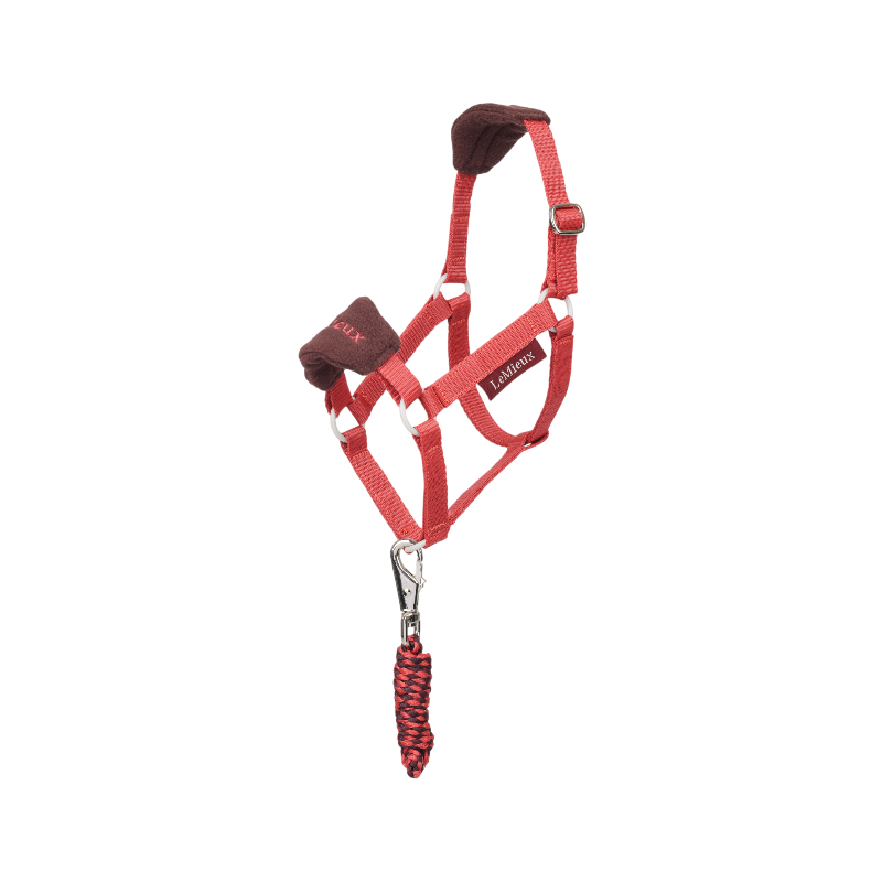 Lemieux - Longe et licol Vogue pour Hobby Horse cranberry