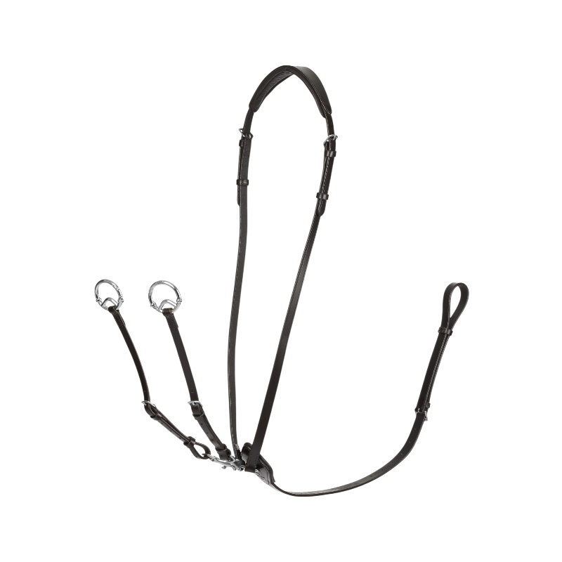 Lemieux - Martingale à anneaux Kudos marron/ argent