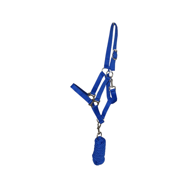 HKM Bischofshofen 11796 Licol Rembourré Peluche Cheval - Bleu Roi