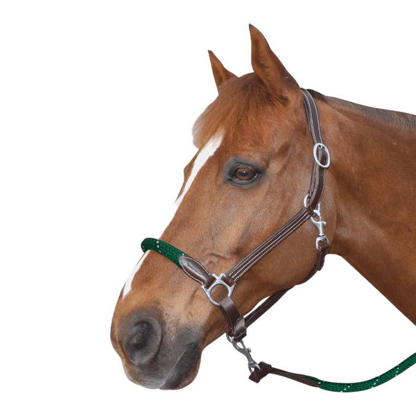 Corde à Cou (sans Bride) Pour Cheval - Turquoise Néon Corde à Cou (sans Bride) Pour Cheval - Turquoise Néon