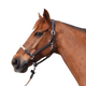 Canter - Licol en corde bouclerie argent marron/ beige | - Ohlala