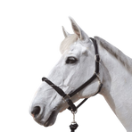 Canter - Licol en corde bouclerie argent noir/ argent | - Ohlala