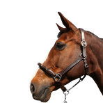 Canter - Licol en corde bouclerie argent marron/ marron | - Ohlala