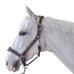 Flags & Cup - Paardenhalster leer Paris bruin/marine | - Ohlala