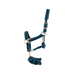 Equithème - Halster + longe Satiné marine/turquoise | - Ohlala
