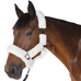 Canter - Transporthoogstel naturel | - Ohlala