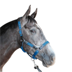 Flags & Cup - Paardenhalster nylon en leer zwart / elektrisch blauw | - Ohlala