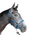 Flags & Cup - Paardenhalster nylon en leer zwart / elektrisch blauw | - Ohlala
