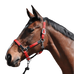 Flags & Cup - Paardenhalster nylon en leer zwart / rood | - Ohlala