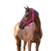 Norton - Gevoerd fluorescerend halster roze | - Ohlala