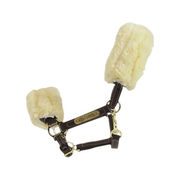 Set Mini-licol Couverture Pony Academy
