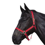 Riding World - Nylon halster rood | - Ohlala