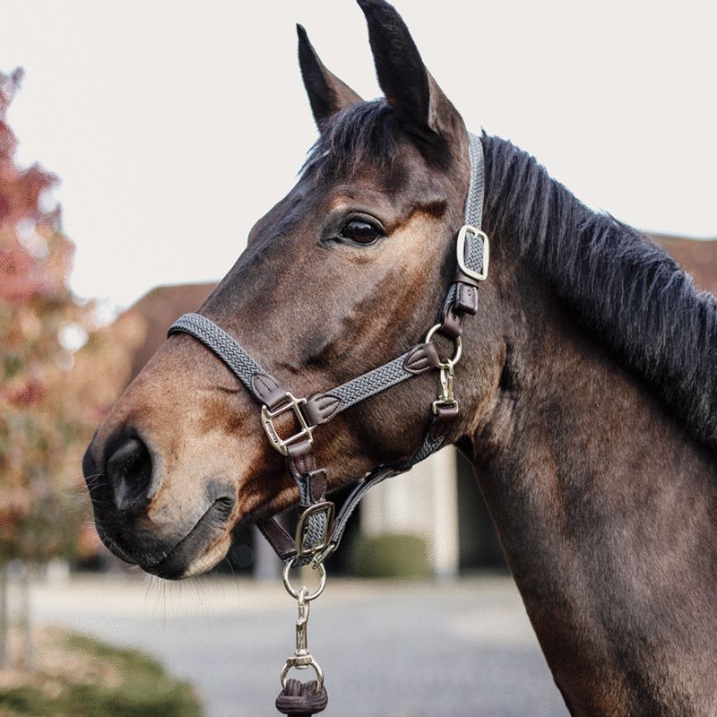 Kentucky Horsewear - Licol cheval nylon tressé gris | - Ohlala