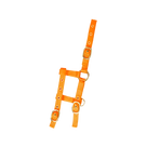 Norton - Licol réglable mini orange | - Ohlala
