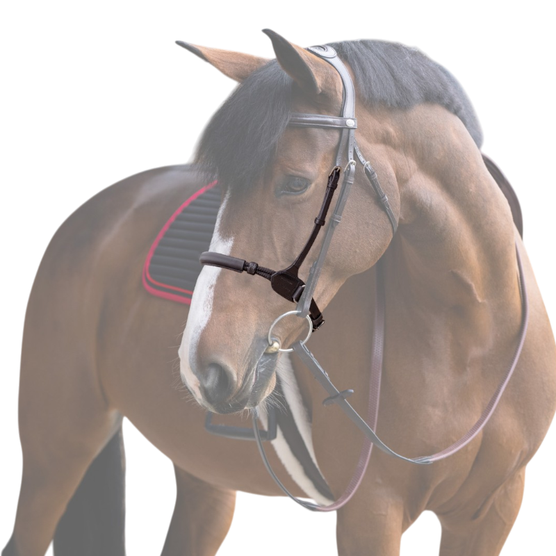 Jump'In - Muserolle bitless Evolution noisette