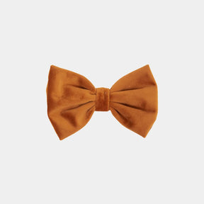 Kentucky Dogwear - Nœud papillon velvet orange | - Ohlala