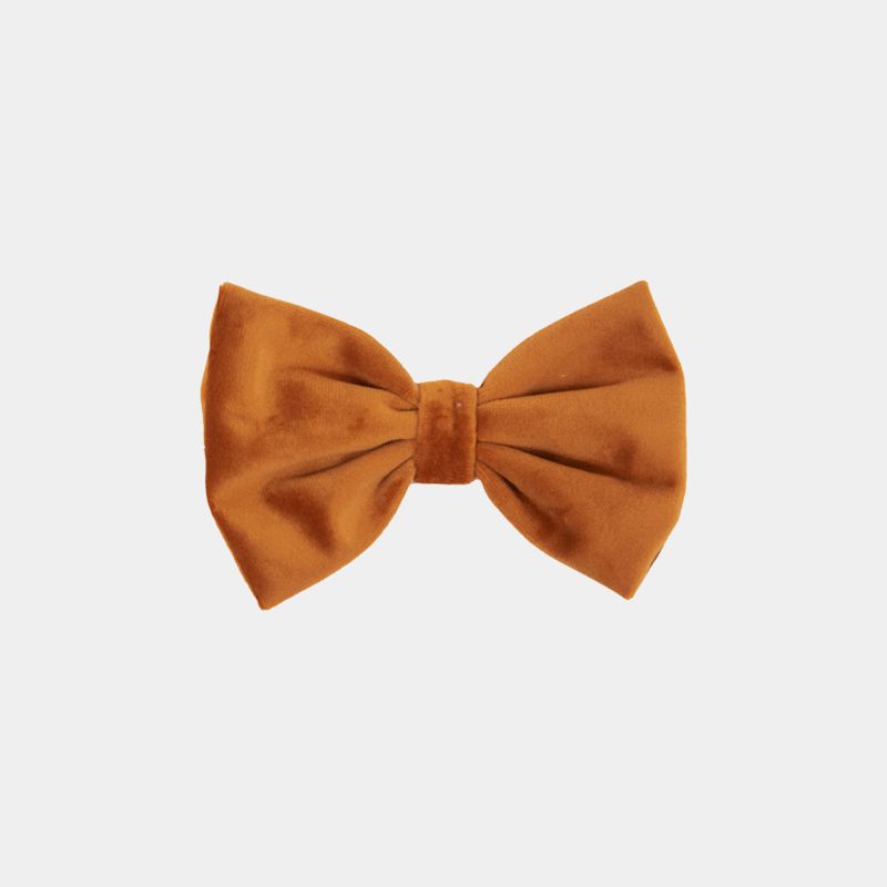 Kentucky Dogwear - Nœud papillon velvet orange | - Ohlala