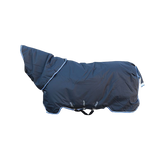 Horseware - Couverture d'extérieur Amigo Bravo 12 plus avec couvre cou noir/ bleu 250g | - Ohlala