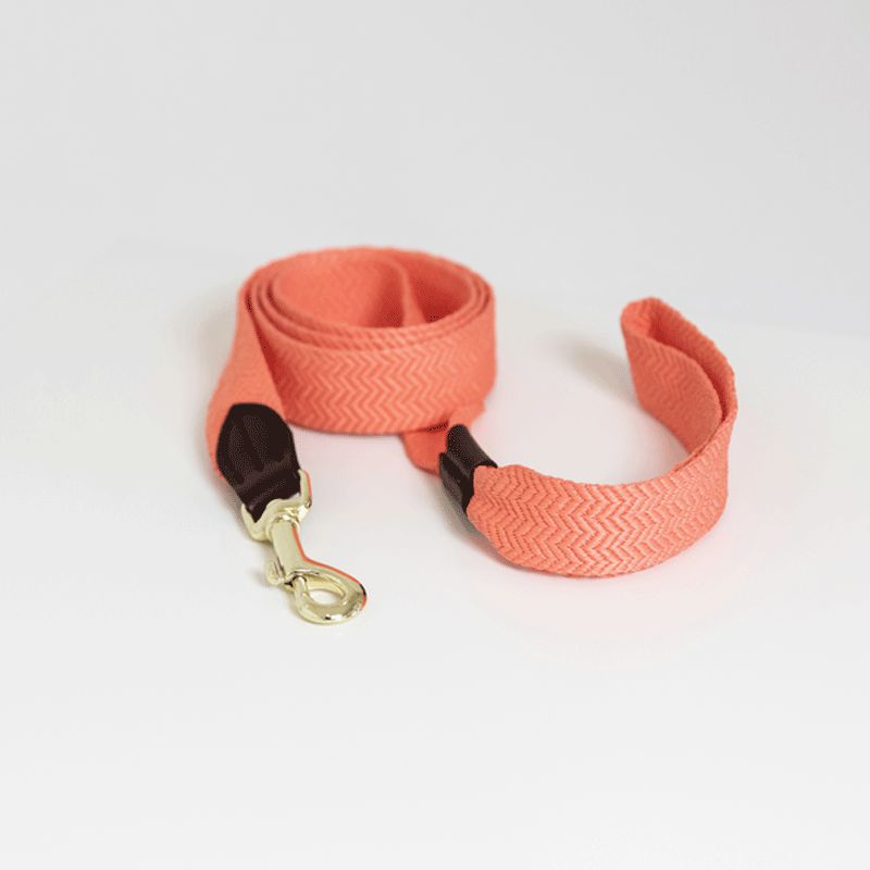 Kentucky Horsewear - Laisse pour chien Jacquard Orange  fluo | - Ohlala