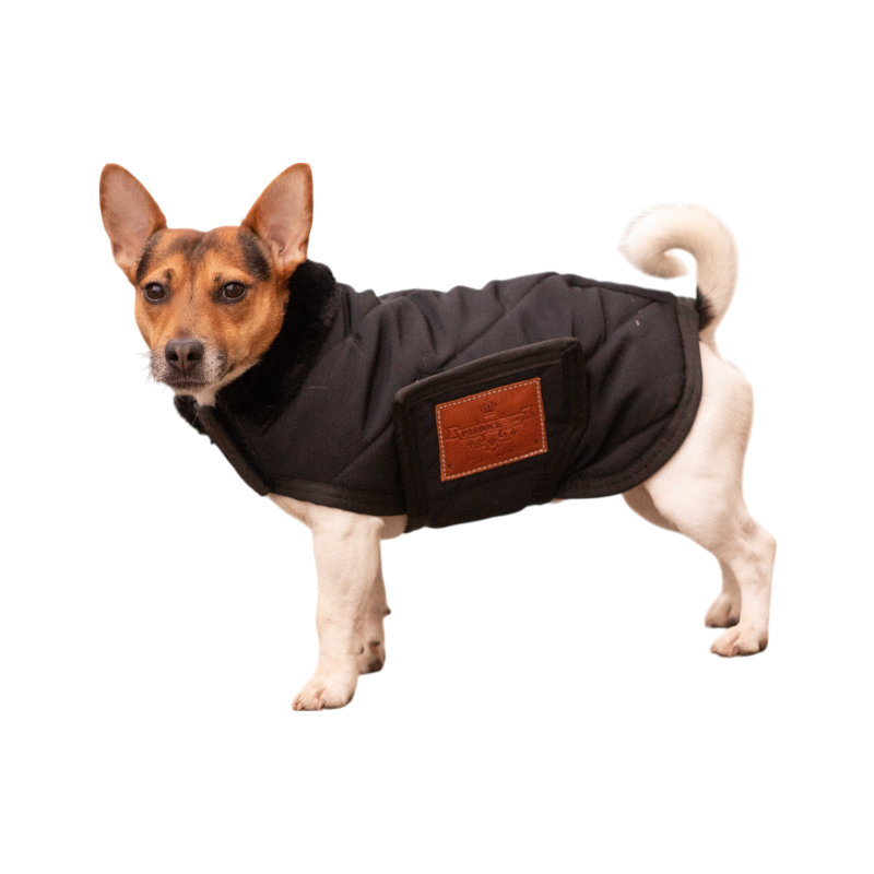 Paddock Sports - Couverture pour chien Diagonal