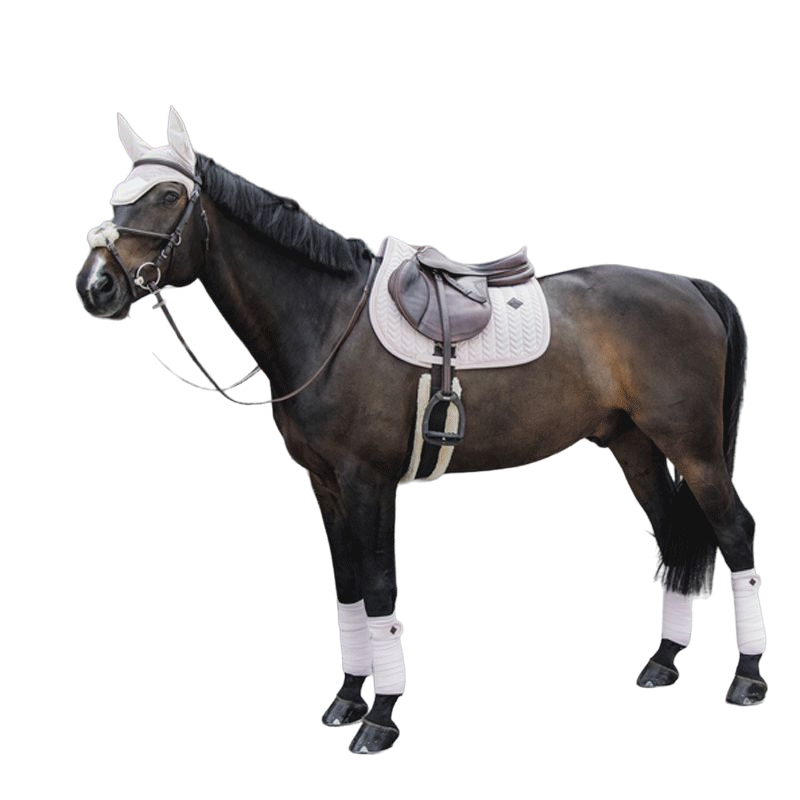 Kentucky Horsewear - Tapis de selle Velvet Pearls jumping rose tendre | - Ohlala