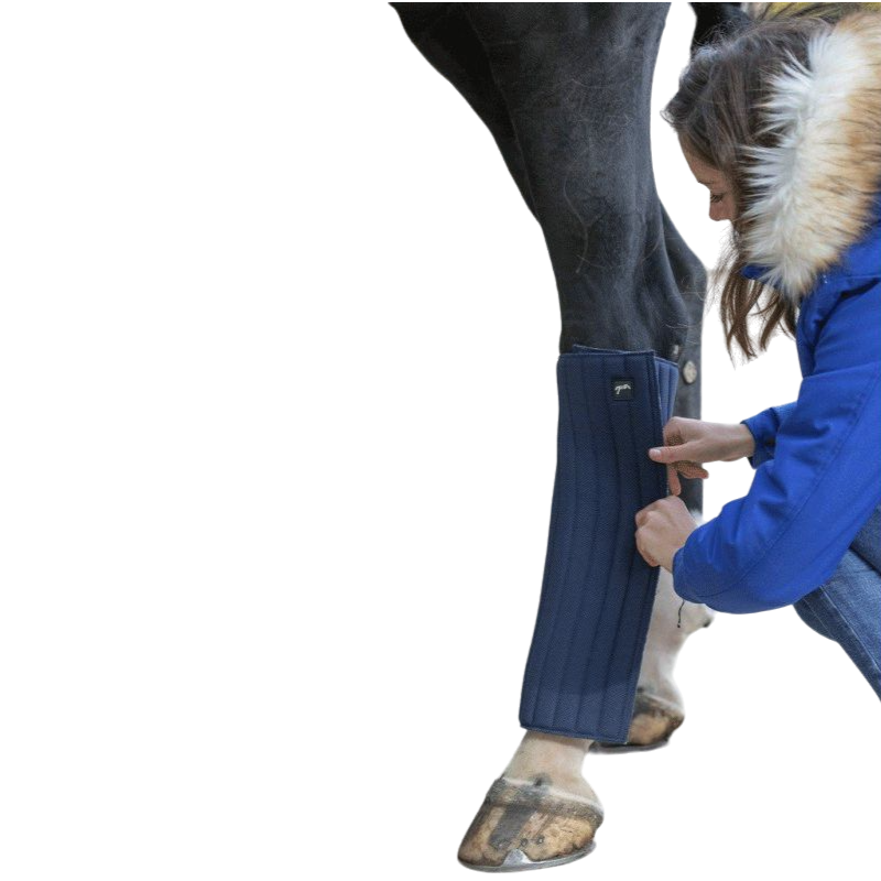 Pénélope - Sous-bandage Soft postérieurs marine