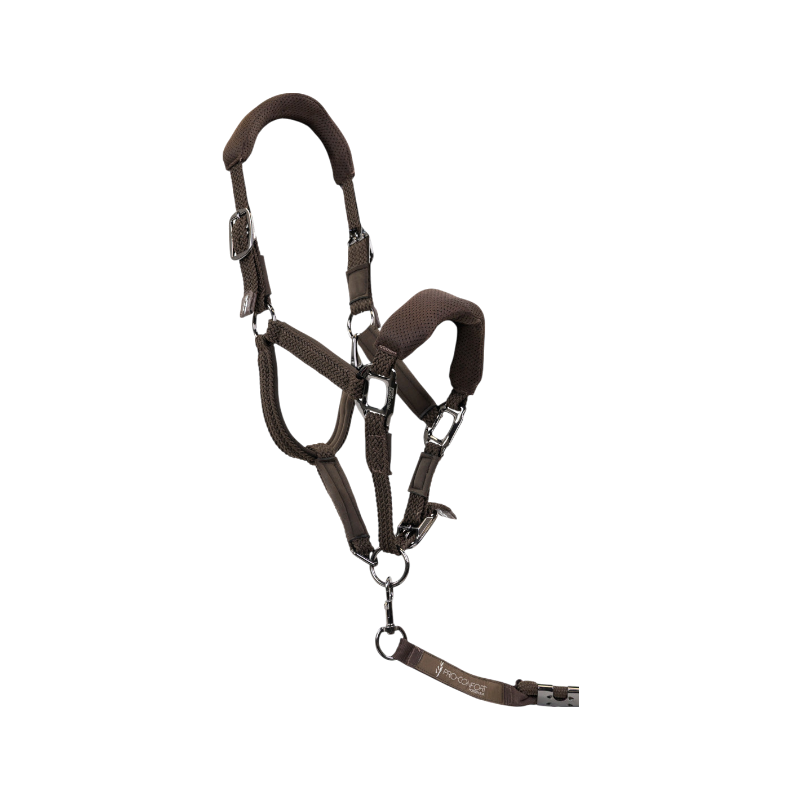 Pro Confort - Ensemble licol ergonomique et longe Dorai en mesh marron