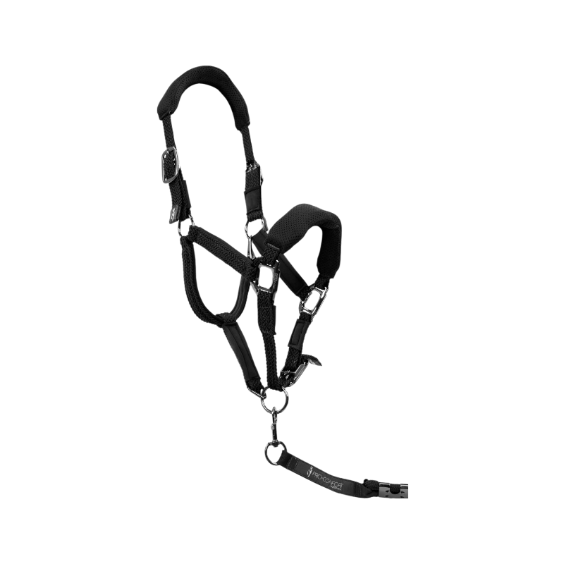 Pro Confort - Ensemble licol ergonomique et longe Dorai en mesh noir
