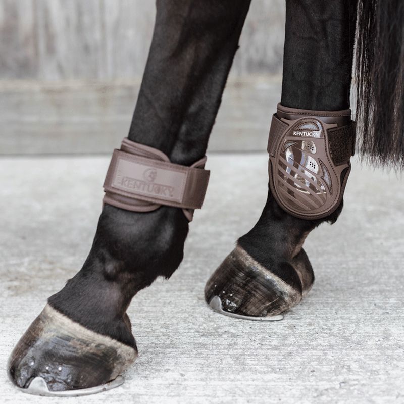 Kentucky Horsewear - Protège-boulet jeunes chevaux marron | - Ohlala