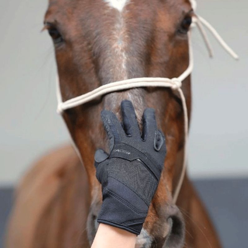 Des gants chauffants pour le poney ? Racer l'a fait !