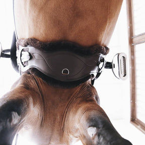 Kentucky Horsewear - Sangle anatomique courte marron | - Ohlala