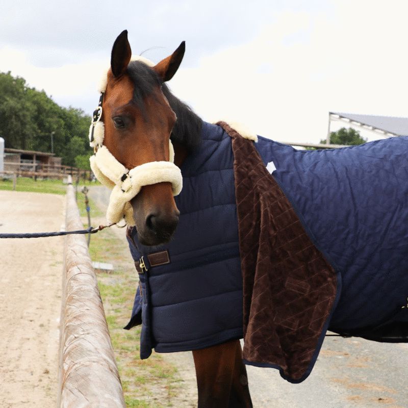 Kentucky Horsewear - Sous-couverture Classic 300g marine | - Ohlala